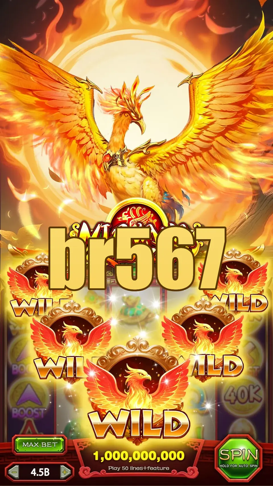 br567 Login